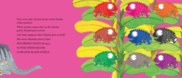 Colour-Colour Kaminini - English - Image 5