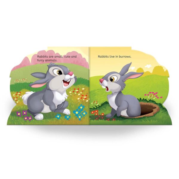 My First Shaped Board Book: Illustrated Rabbit - Image 3
