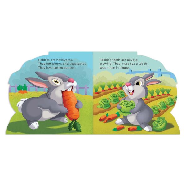 My First Shaped Board Book: Illustrated Rabbit - Image 4